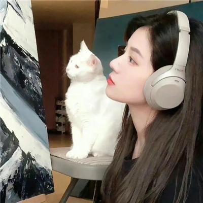 我的朋友小海豚